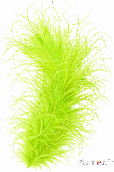 Struisvogel lont - 10 cm - helder groen